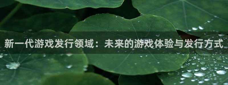 pp电子官网登录注册账号失败怎么办：新一代游戏发行领域：未来的游戏体验与发行方式