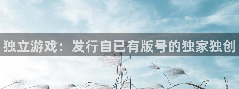 pp电子官网怎么注册账号：独立游戏：发行自已有版号的独家独创