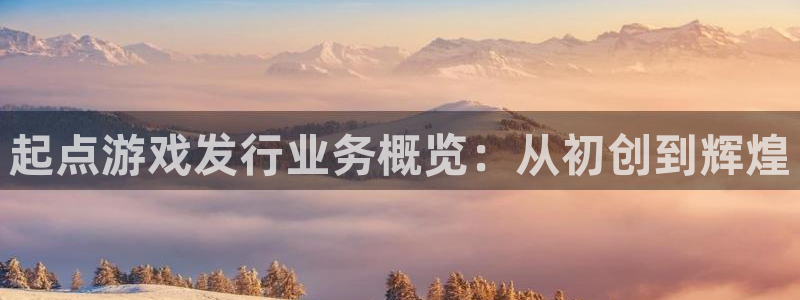pp电子球队：起点游戏发行业务概览：从初创到辉煌