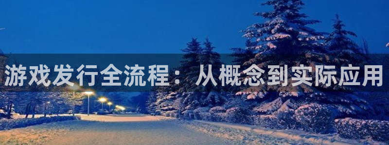 pp电子官网注册平台是什么软件：游戏发行全流程：从概念到实际应用