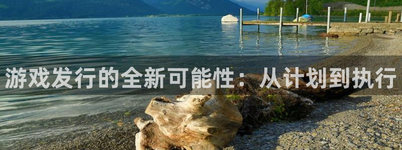 pp电子官网客服服务怎么样：游戏发行的全新可能性：从计划到执行