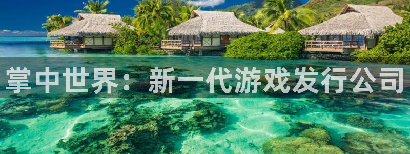 pp电子平台登录入口官网：掌中世界：新一代游戏发行公司