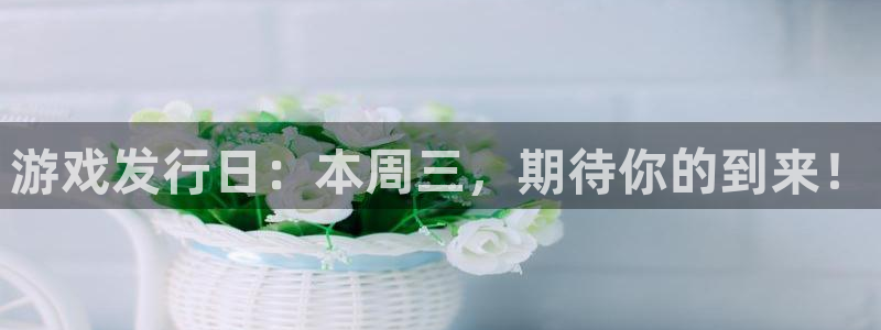 pp电子官网客服服务