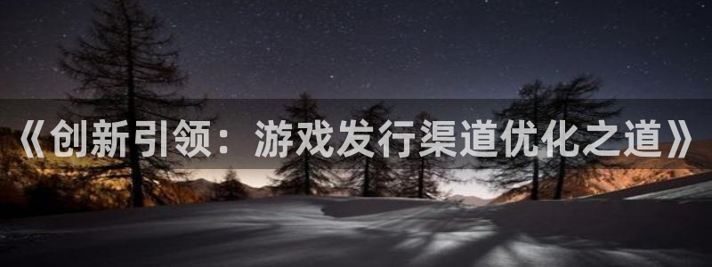 江苏pp电子：《创新引领：游戏发行渠道优化之道》
