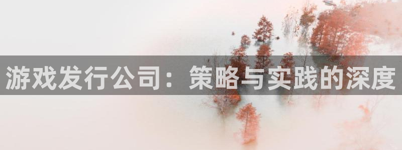 长沙pp电子子电子商务有限公司：游戏发行公司：策略与实践的深度
