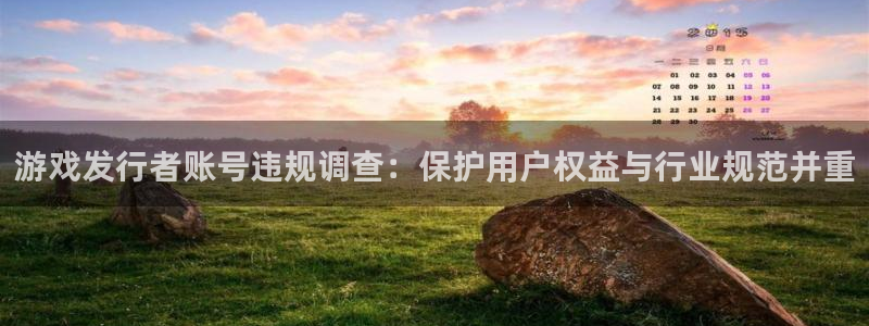 pp电子子出版社：游戏发行者账号违规调查：保护用户权益与行业规范并重