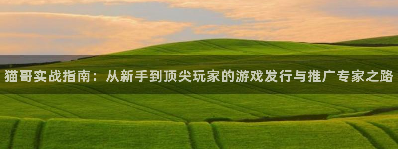 南京pp电子子电子商务有限公司