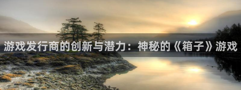 pp电子技术有限公司：游戏发行商的创新与潜力：神秘的《箱子》游戏