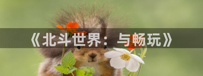 pp电子子财经出版中心：《北斗世界：与畅玩》