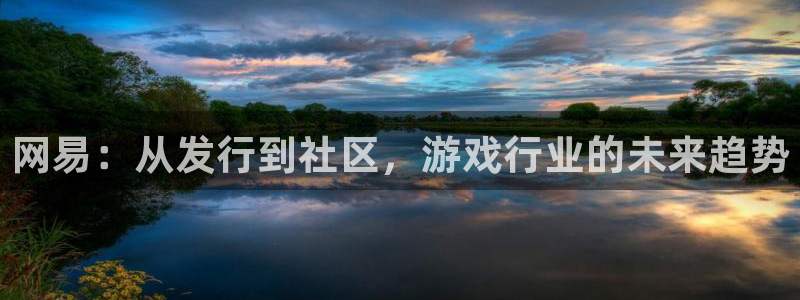 pp电子平台登录入口官网：网易：从发行到社区，游戏行业的未来趋势