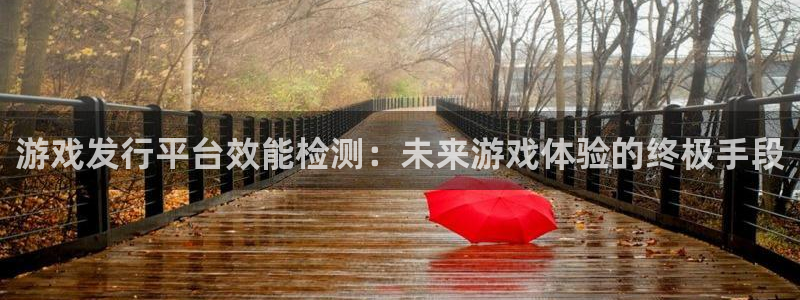 pp电子子公司怎么样知乎：游戏发行平台效能检测：未来游戏体验的终极手段