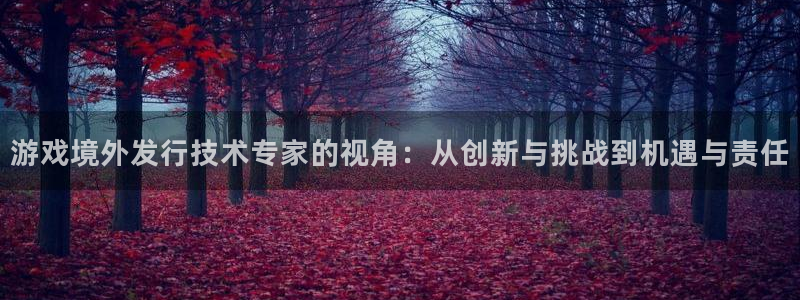 pp电子官网注册地址在哪里：游戏境外发行技术专家的视角：从创新与挑战到机遇与责任