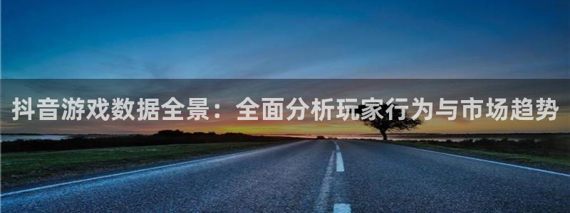 pp电子官网注册登录失败：抖音游戏数据全景：全面分析玩家行为与市场趋势
