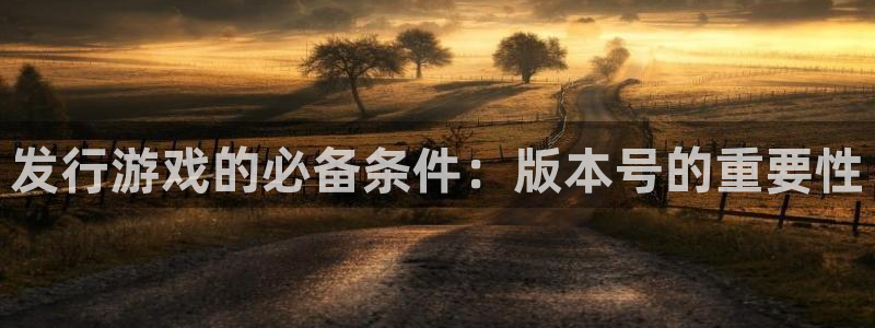 pp电子官网注册平台官网登录：发行游戏的必备条件：版本号的重要性