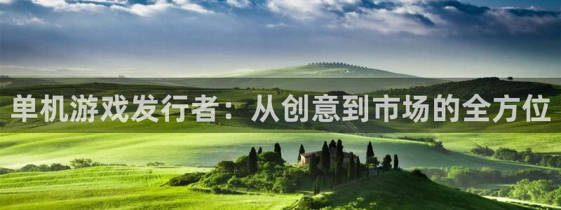 广州pp电子网络科技有限公司招聘：单机游戏发行者：从创意到市场的全方位