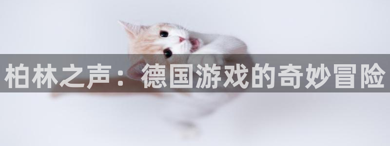 pp电子技术有限公司官网：柏林之声：德国游戏的奇妙冒险