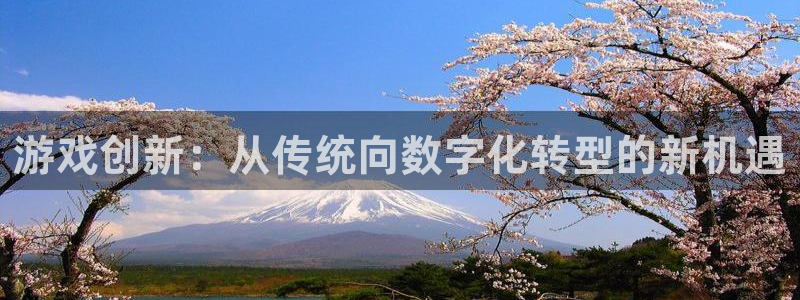 pp电子子年度最佳图书