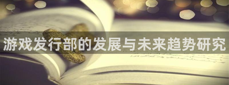 pp电子电子商务有限公司怎么样知乎