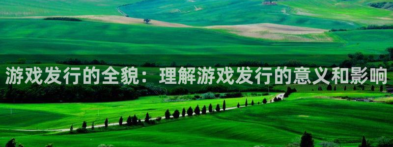 pp电子官网是赌博么：游戏发行的全貌：理解游戏发行的意义和影响