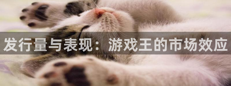 pp电子官网客服电话是多少