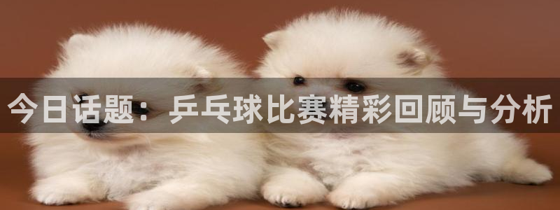 9255tv直播无插件nba：今日话题：乒乓球比赛精彩回顾与分析