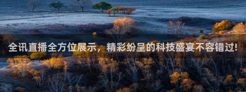 9255tv直播nba在线观看：全讯直播全方位展示，精彩纷呈的科技盛宴不容错过!