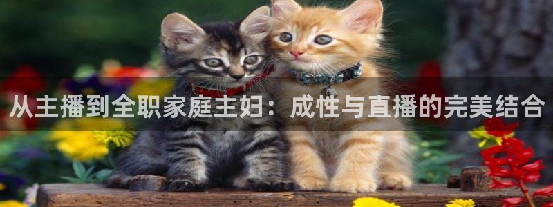 9255tv直播无插件nba：从主播到全职家庭主妇：成性与直播的完美结合