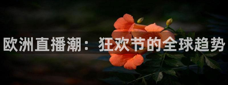 9255tv直播nba在线直播：欧洲直播潮：狂欢节的全球趋势