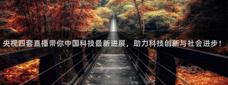 9255tv直播nba在线观看：央视四套直播带你中国科技最新进展，助力科技创新与社会进步！