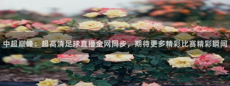 9255tv直播nba在线观看：中超巅峰：超高清足球直播全网同步，期待更多精彩比赛精彩瞬间