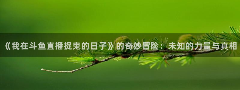 9255tv直播nba在线观看：《我在斗鱼直播捉鬼的日子》的奇妙冒险：未知的力量与真相