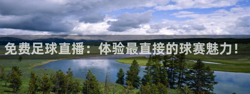9255tv直播nba在线观看：免费足球直播：体验最直接的球赛魅力！