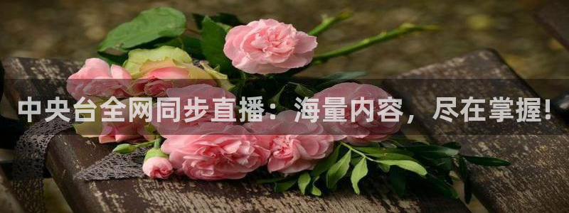 9255tv直播nba在线直播：中央台全网同步直播：海量内容，尽在掌握!